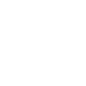 Target Audience icon
